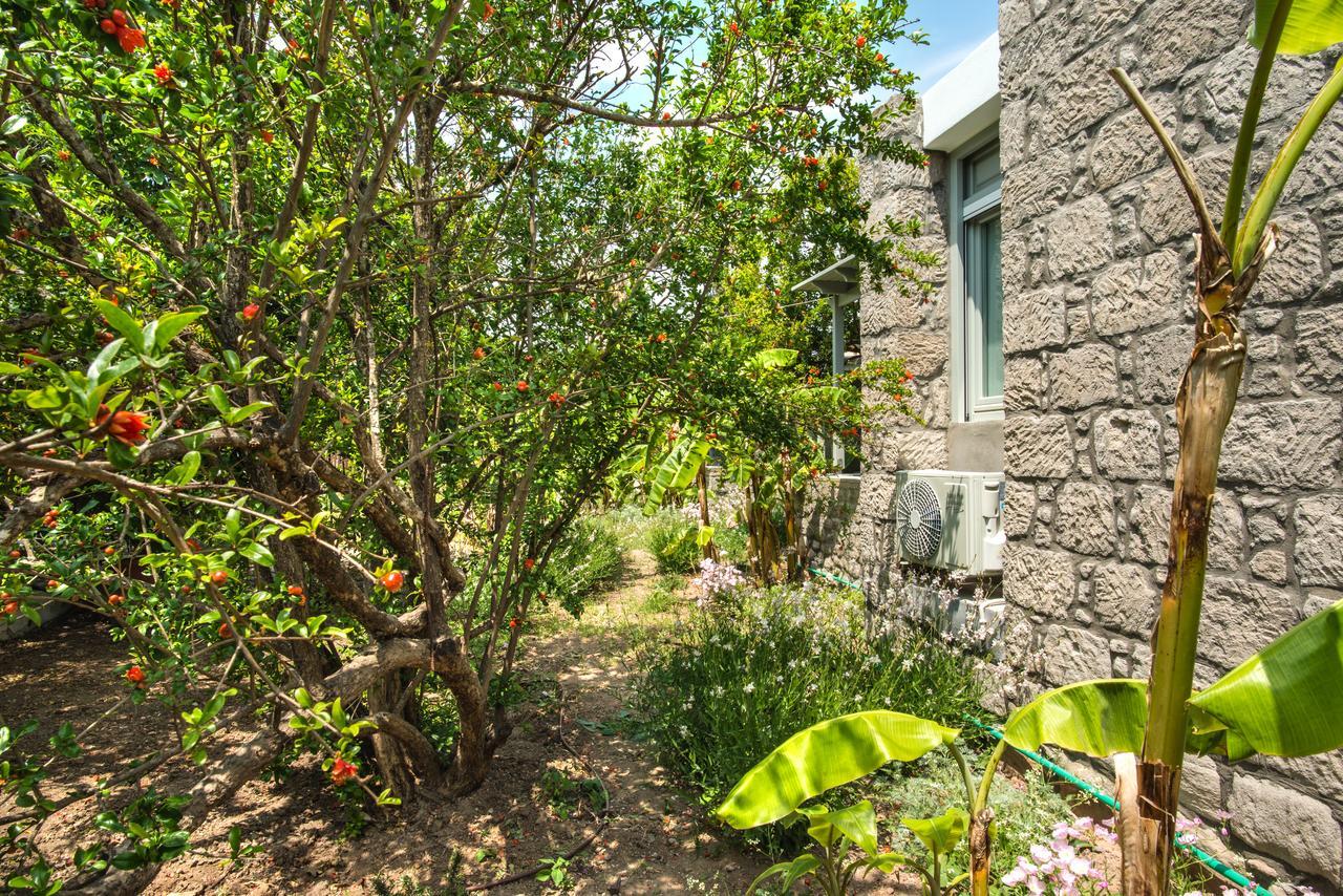 Melagrana Aparthotel Adamantas  Bagian luar foto